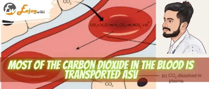 Most of the carbon dioxide in the blood is transported asvMost of the carbon dioxide in the blood is transported asv