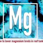 How to lower magnesium levels in reef tank